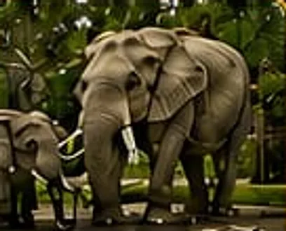 Dierenpark Amersfoort