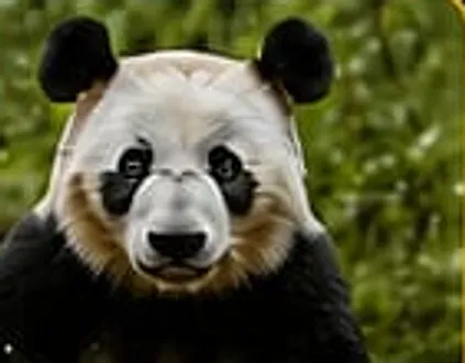 Ouwehands Dierenpark